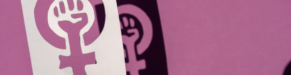 Curso Superior Universitario en Intervencion en Mujeres Victimas de la Violencia de Genero (Curso Homologado y Baremable en Oposiciones de la Administracion Publica)