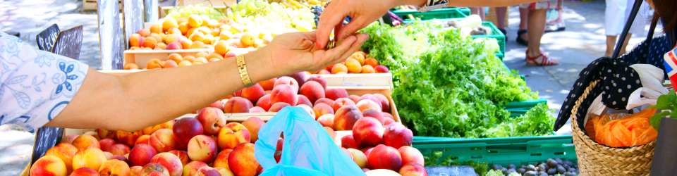 Especialista en Supervision de los Procesos de Aprovisionamiento, Control de Almacen y Gestion de Stock en Supermercados y Tiendas de Alimentacion