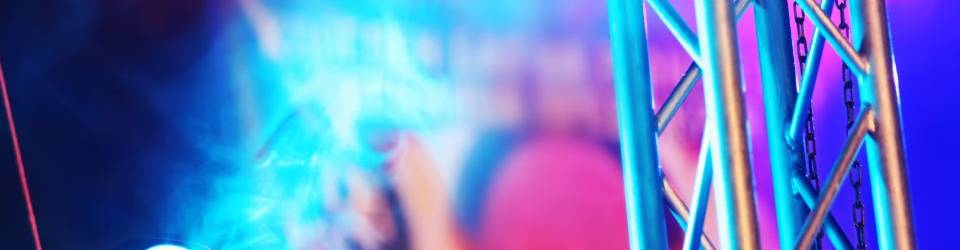 Postgrado de Vigilante de Seguridad en Discotecas + Titulacion Universitaria