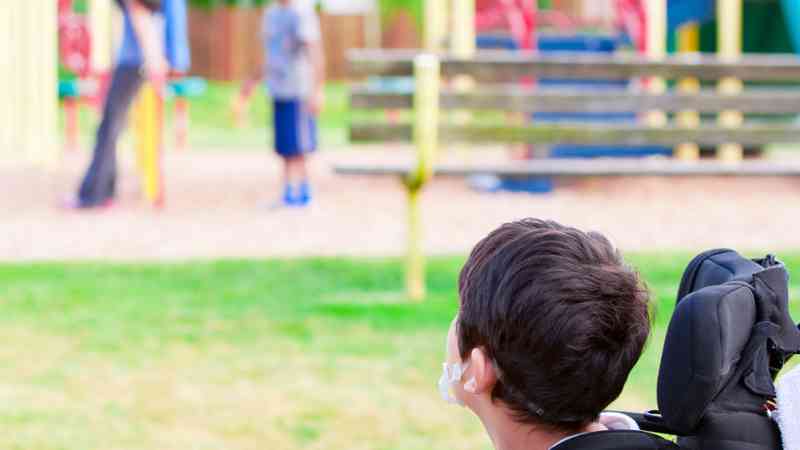 Postgrado Online Terapia Ocupacional Necesidades Educativas Especiales Homologado