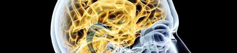Tecnico en Neurologia (Curso de Neurologia Online Homologado con Titulacion Universitaria + 20 Creditos tradicionales LRU)