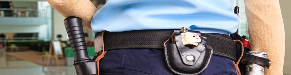 CURSO VIGILANTE DE SEGURIDAD A DISTANCIA