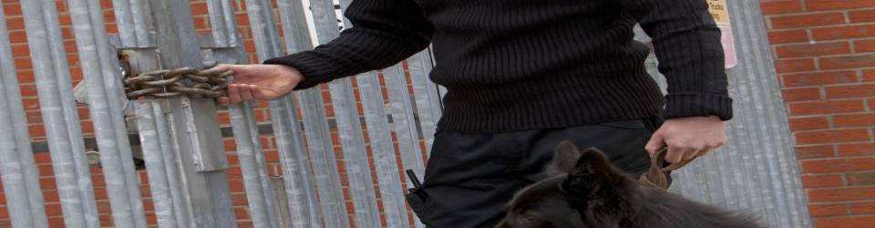 CURSO VIGILANTE DE SEGURIDAD ONLINE