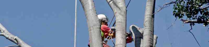 Curso Online de Prevención de Riesgos Laborales: Práctico
