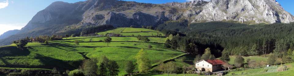 Experto en Desarrollo del Turismo Rural y Marketing Turistico