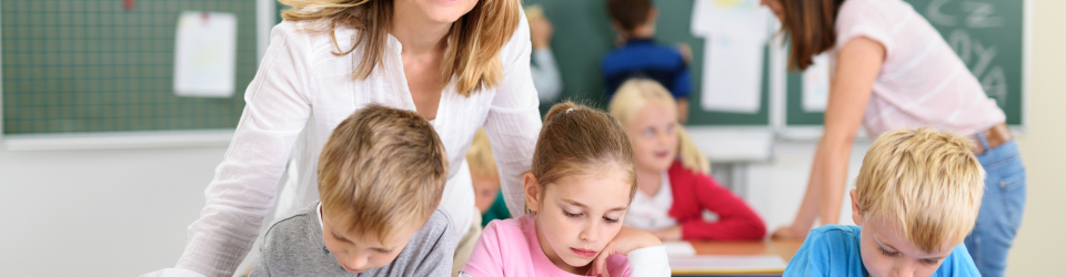 Experto en Didactica del Conocimiento del Medio Social y Cultural: Primaria + Educacion Social y para la Salud (Doble Titulacion con 4 Creditos ECTS)