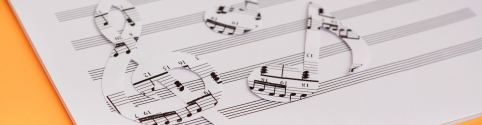 Didactica de la Musica para Maestros y Profesores (Curso Online DIDACTICA DE LA MUSICA EN EDUCACION con Titulacion Universitaria con 4 Creditos ECTS)