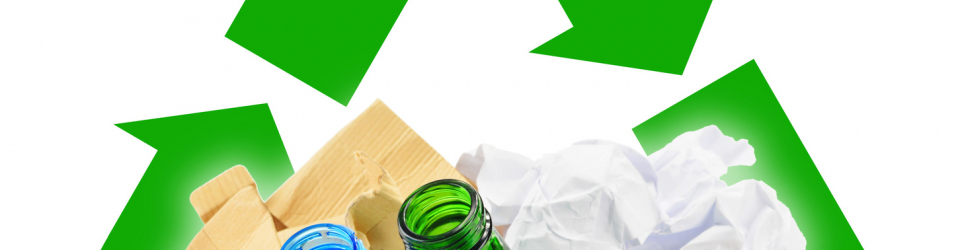 Postgrado en Educacion Ambiental: Programas, Actividades y Recursos + Titulacion Universitaria