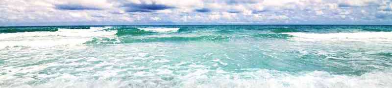 Postgrado Online Educacion Ambiental Homologado