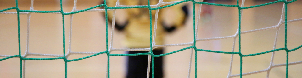 Entrenador de Futbol Sala Avanzado + Especializacion en Coaching Deportivo (Doble Titulacion + 8 Creditos ECTS)