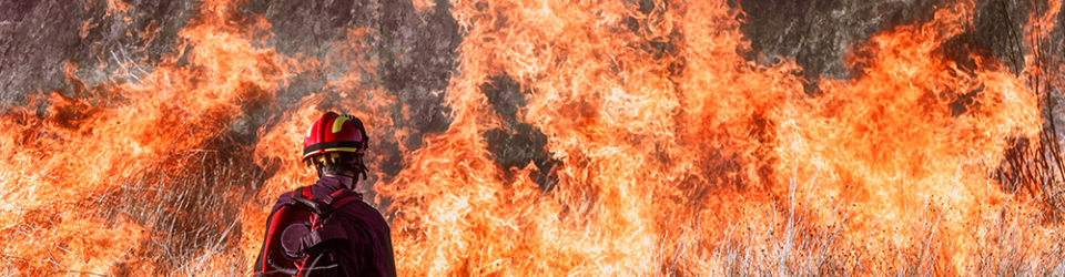 Especialista en Defensa contra Incendios Forestales