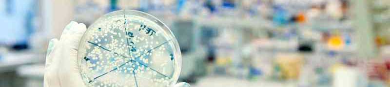 Curso Superior en Biología Celular (Reconocimiento de Oficialidad por la Administración Pública - ESSSCAN)