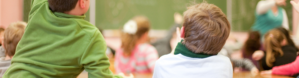 Experto en Educacion Pedagogica: Relevancia de la Persona
