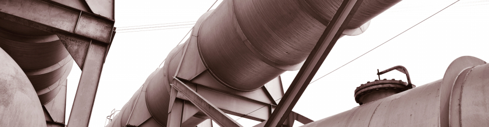 Experto en Higiene Industrial