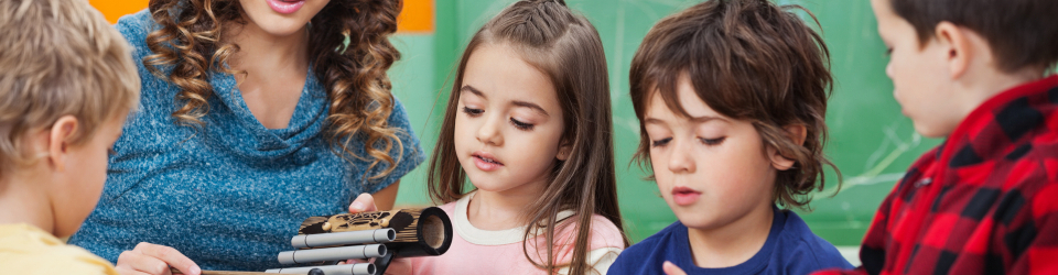 Experto en Estrategias de Comprension Lectora