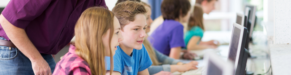 Experto en Evaluacion Diagnostica de las Competencias Basicas