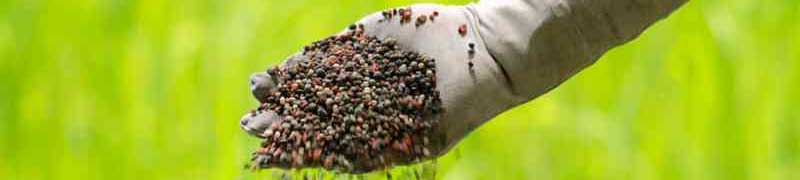 Experto en Fundamentos para la Implantación de Jardines y Zonas Verdes