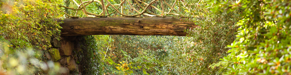 Curso Practico: Experto en Gestion Medioambiental en el Medio Rural