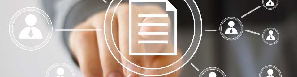 Experto en Tecnicas de Direccion de Empresas y Organizaciones
