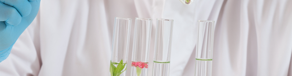 Experto Nutricionista de las Plantas: Ensenanza y Aprendizaje