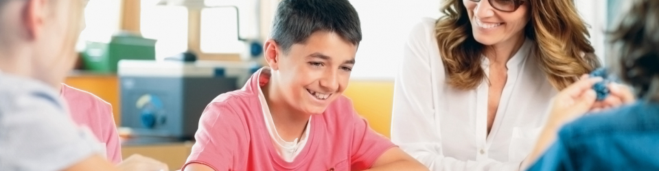 Experto en Practicas como Instrumento de Formacion