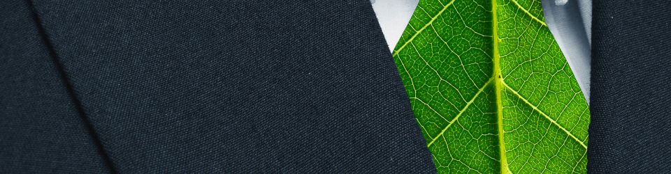 Formador de Formadores en Medioambiente. Experto en Educacion Ambiental + Monitor de Medio Ambiente y Gestion Ambiental (Doble Titulacion con 4 Creditos ECTS)
