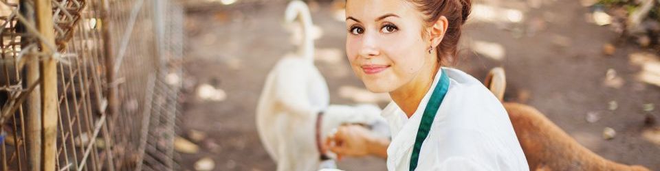 Experto en Gestion de Clinicas Veterinarias + Tecnico Profesional en Direccion y Gestion de PYMES (Doble Titulacion + 20 Creditos tradicionales LRU + Regalo: Licencia Educativa de Software para la Gestion de Clinicas Veterinarias)