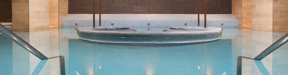 Experto en Gestión de SPA + Técnico Profesional en Dirección y Gestión de PYMES (Doble Titulación + 20 Créditos tradicionales LRU)