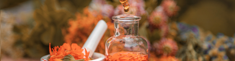 herbodietetica y homeopatia