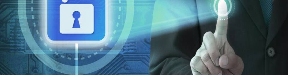 Curso Seguridad Informatica (Dirigida a la obtencion del Certificado de profesionalidad a traves de la acreditacion de las Competencias Profesionales R.D. 1224/2009) (A Distancia)