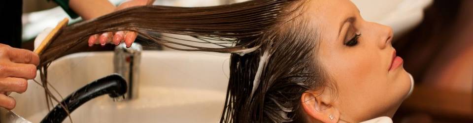 Curso Peluqueria (Dirigida a la obtencion del Certificado de profesionalidad a traves de la acreditacion de las Competencias Profesionales R.D. 1224/2009) (A Distancia)