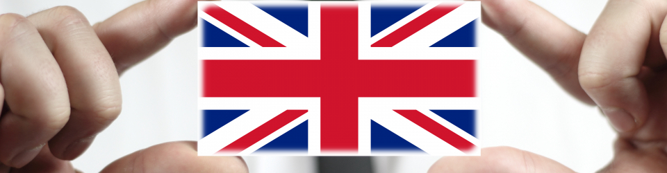 Certificacion en Ingles B2 para Profesionales de la Informatica: It Consulting Expert (Nivel Oficial Marco Comun Europeo)