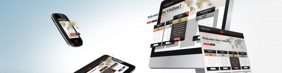 iOS 8: Experto en iPhone y iPad