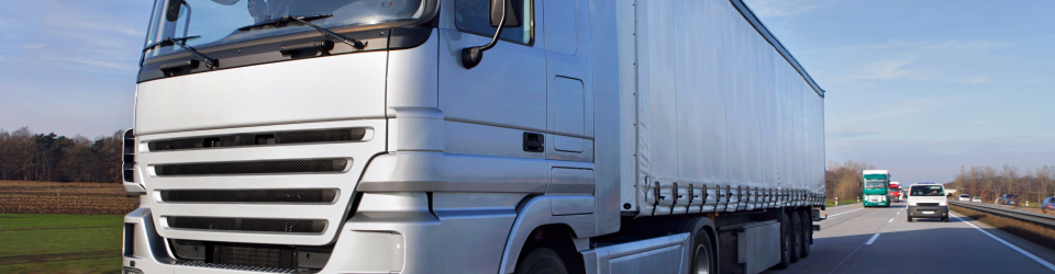 LOGISTICA MASTER