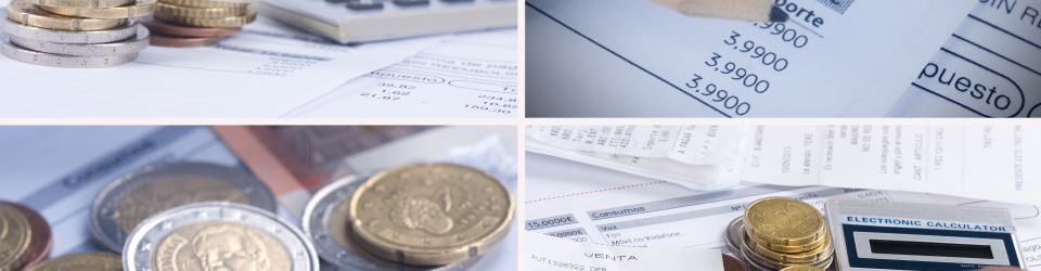 Master en Asesoria Contable y Financiera + Doble Titulacion Universitaria + 4 ECTS