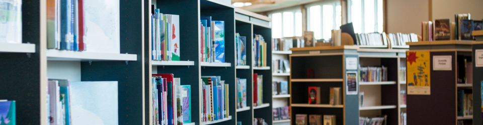 master biblioteconomia