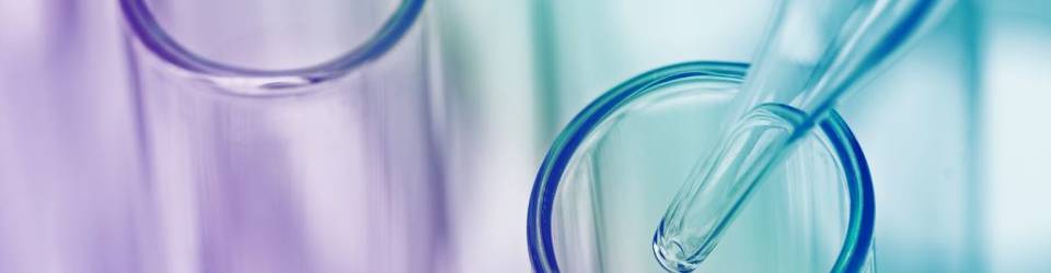 master bioinformatica online