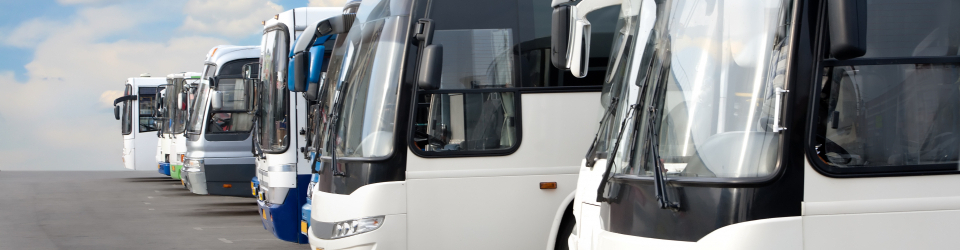 Master en Conduccion de Autobuses + Titulacion Universitaria