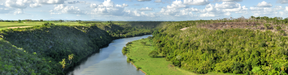 master consultoria ambiental