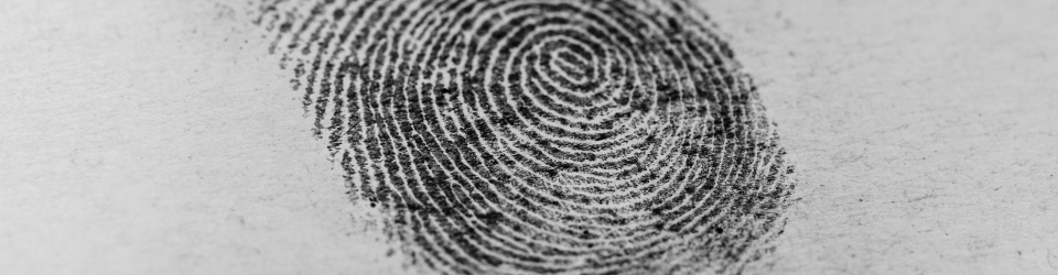 Master Europeo en Criminalidad e Intervencion con Menores en Situacion de Riesgo y Conflicto Social
