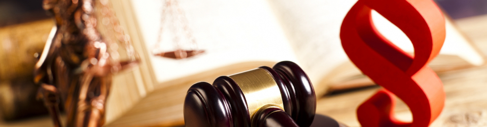 Master Derecho Penal