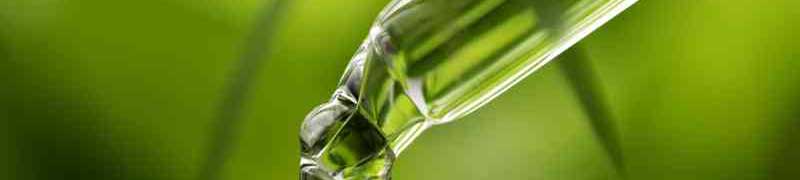 Master en Homeopatía y Terapias Alternativas