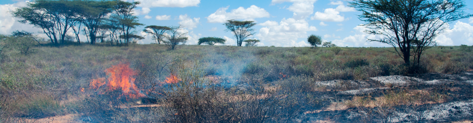MASTER EN INGENIERIA DE PROTECCION CONTRA INCENDIOS ONLINE
