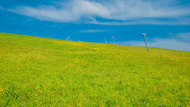 Master En Medio Ambiente Y Arquitectura Bioclimatica Homologado