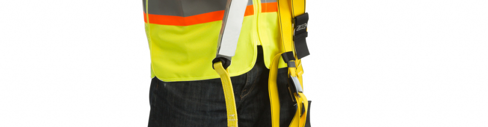 MASTER EN SISTEMAS INTEGRADOS DE GESTION DE LA PREVENCION DE RIESGOS LABORALES