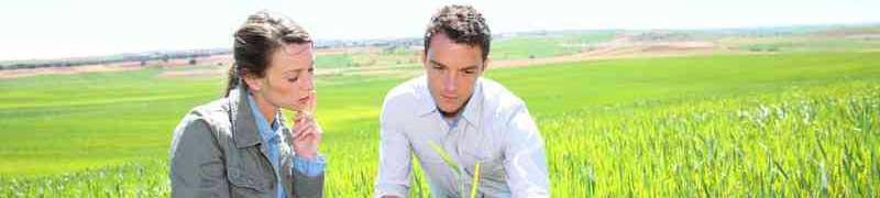 Master en Energias Renovables y Auditoria Energetica