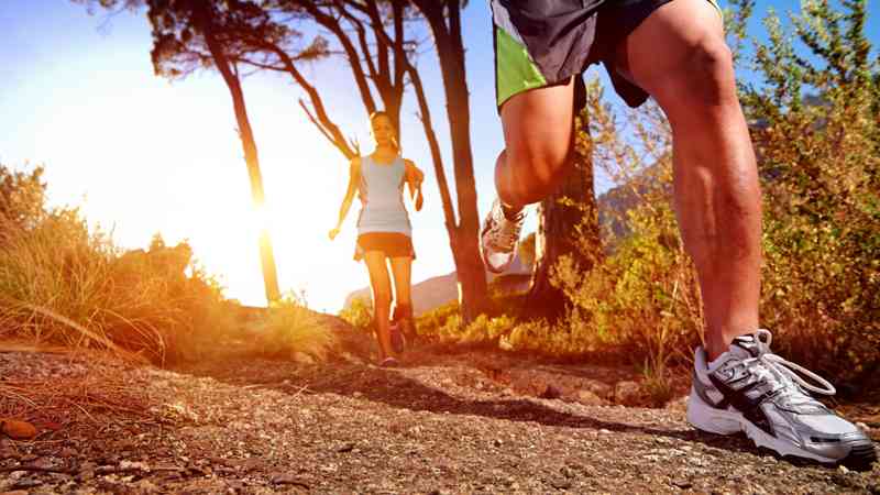 Master en Rendimiento Deportivo, Coaching y Nutricion