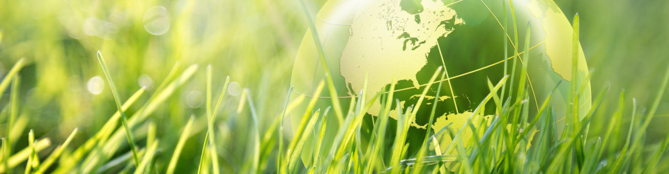 Master Europeo en Educacion Ambiental