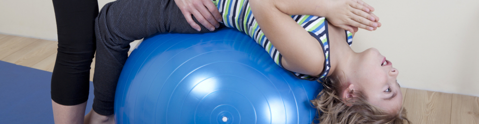 Master en Fisioterapia + Titulacion Universitaria