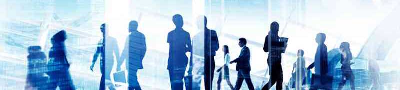 Master en Docencia de la Formacion Profesional para el Empleo + Titulacion Universitaria en Orientacion Laboral y Promocion de la Calidad en la Formacion Profesional para el Empleo